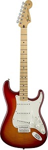 Fender Standard Stratocaster Electric Guitar Fender Standard Stratocaster Electric Guitar